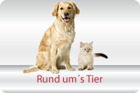Rund um's Tier